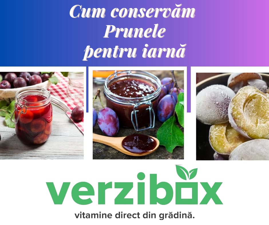 Cum conservăm prunele pentru iarnă
